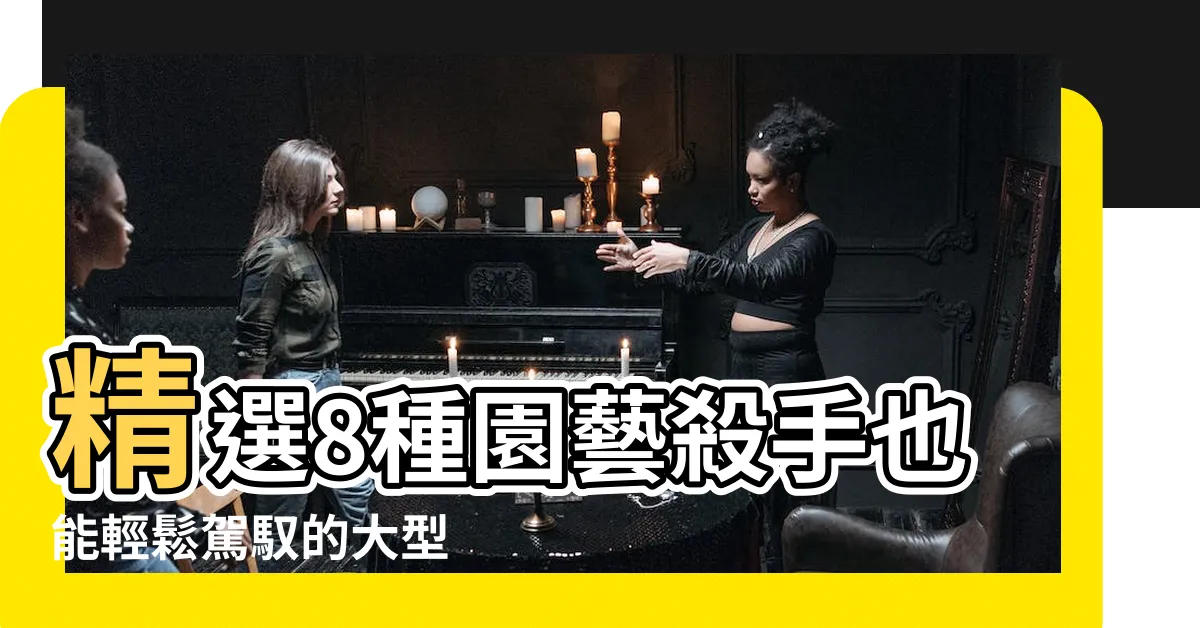 【大型植物盆栽】精選8種園藝殺手也能輕鬆駕馭的大型 |優惠推薦 |落地大型植物 |