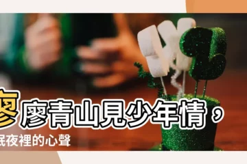 【廖廖青山見】廖廖青山見少年情，失眠夜裡的心聲
