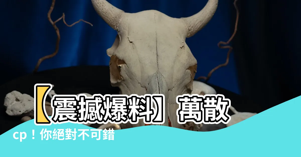 【萬 散 cp】【震撼爆料】萬散 cp！你絕對不可錯過的楓散情報！