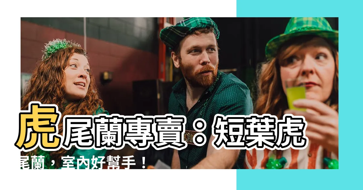【短葉虎尾蘭】虎尾蘭專賣：短葉虎尾蘭，室內好幫手！