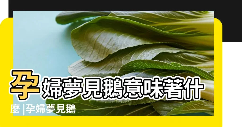 孕婦夢見鵝意味著什麼 |孕婦夢見鵝 |孕婦夢見鵝好不好 |【孕婦夢見一隻黑鵝】