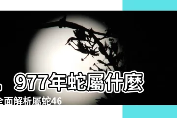【1977年蛇】1977年蛇屬什麼？全面解析屬蛇46歲關鍵運勢