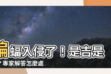 【有蝙蝠】蝙蝠入侵了！是吉是兇？專家解答怎麼處理