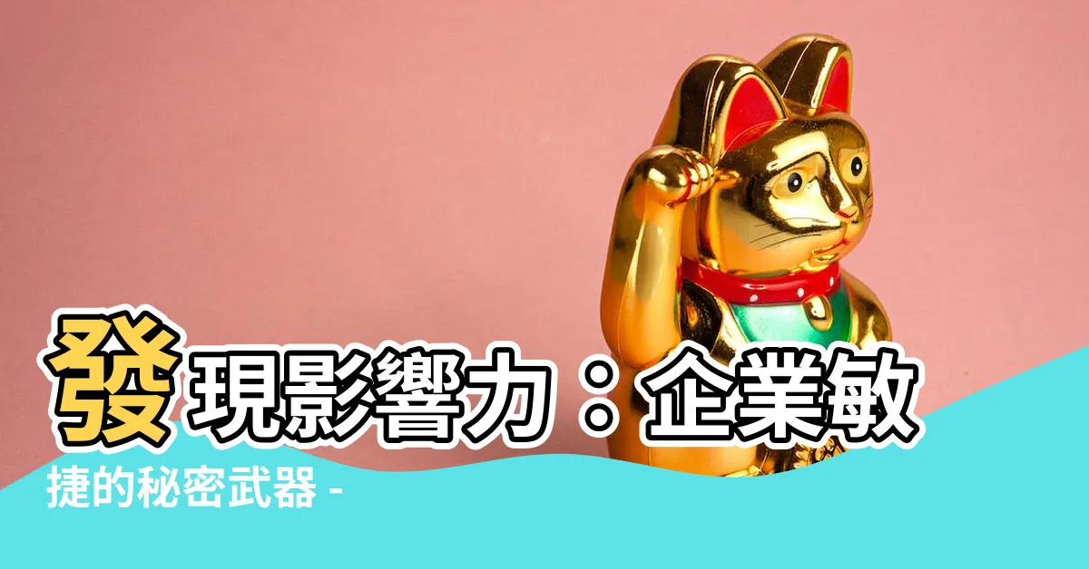 【影響地圖】發現影響力：企業敏捷的秘密武器 - 影響地圖大揭秘