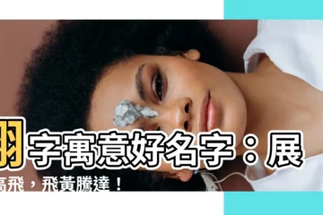 【翊意思名字】翊字寓意好名字：展翅高飛，飛黃騰達！