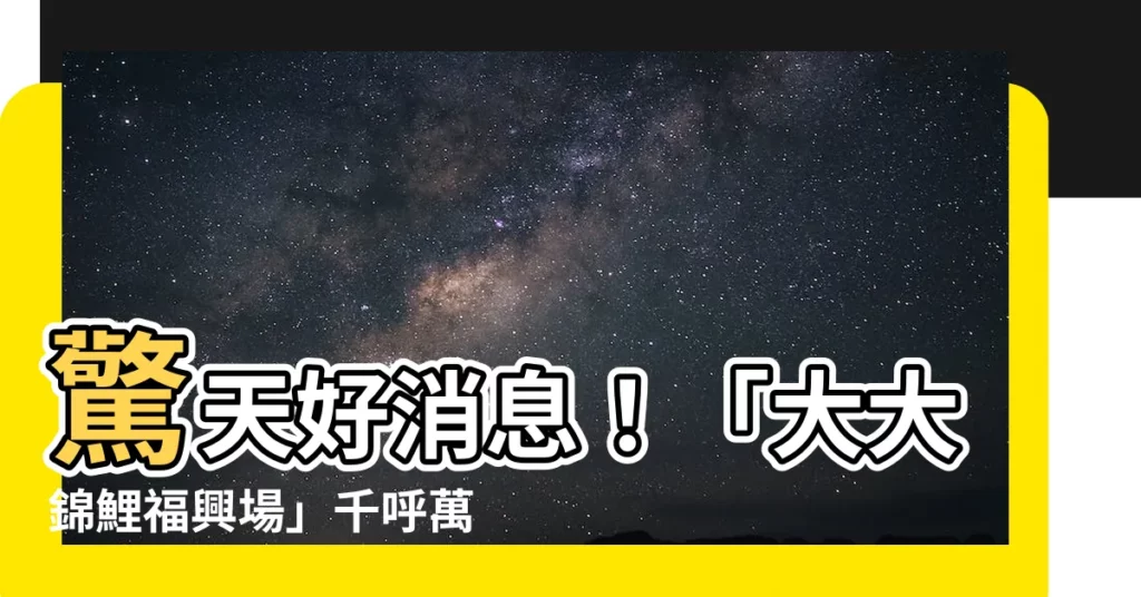 【大大錦鯉福興場】驚天好消息！「大大錦鯉福興場」千呼萬喚終於盛大開幕！