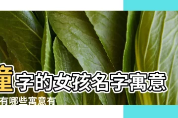 【潼在名字裏的的寓意】潼字的女孩名字寓意 |潼有哪些寓意有涵養的女孩名字 |在人名中是什麼意思 |