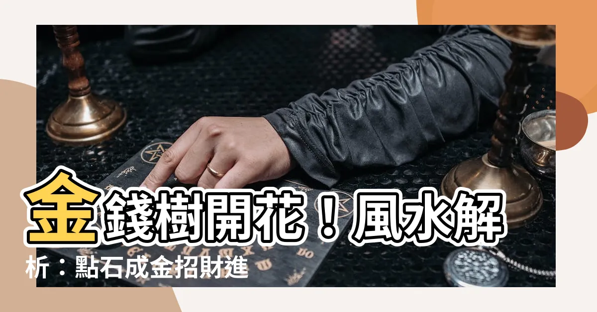 【金錢樹開花 風水】金錢樹開花！風水解析：點石成金招財進寶