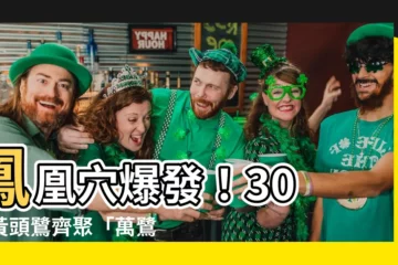【鳳凰穴】鳳凰穴爆發！30 萬黃頭鷺齊聚「萬鷺朝鳳」驚艷梅山鄉