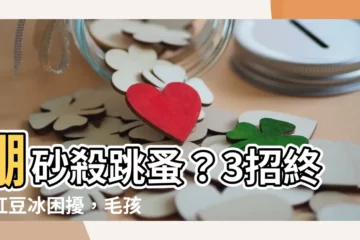 【硼砂 跳蚤】硼砂殺跳蚤？3招終結紅豆冰困擾，毛孩與你共享無蚤宅邸！