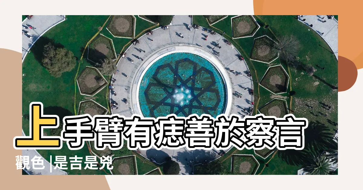【手臂有志】上手臂有痣善於察言觀色 |是吉是兇 |痣的位置與命運 |
