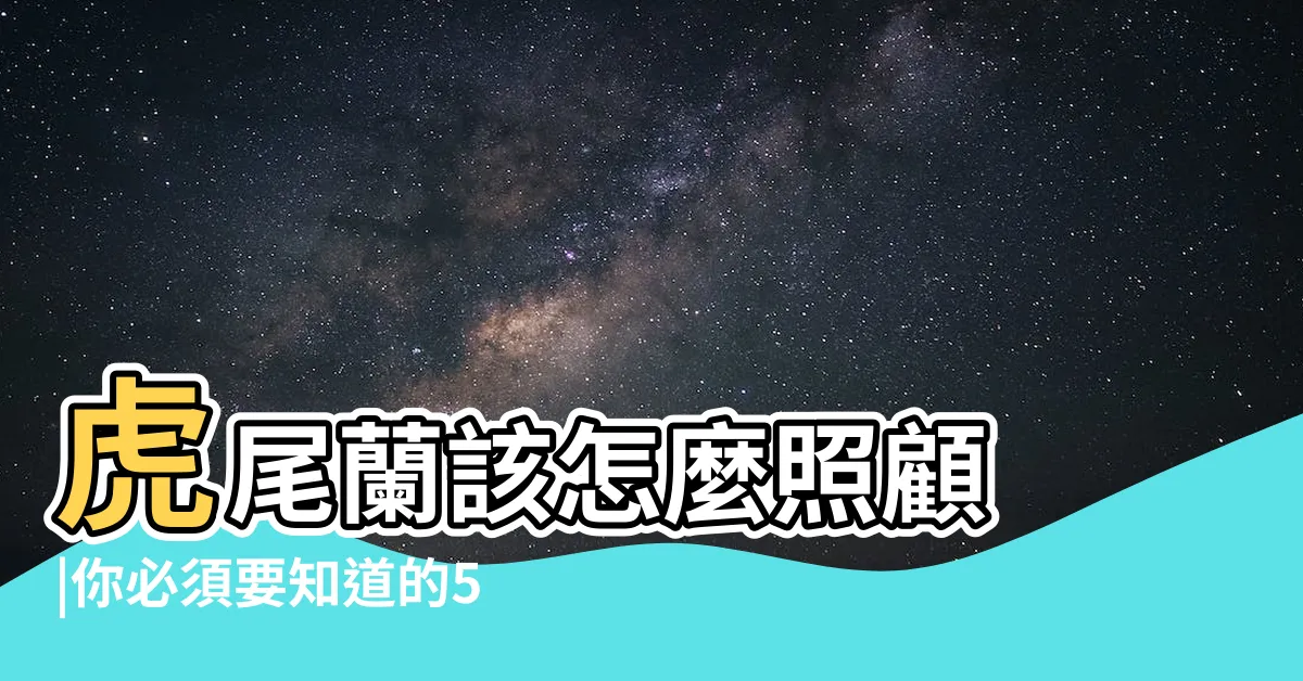 【虎尾蘭 照顧】虎尾蘭該怎麼照顧 |你必須要知道的5大重點 |給新手的基礎照護指南 |