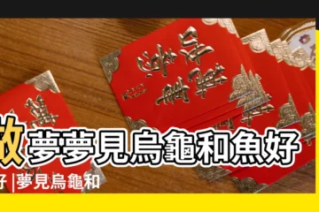 【做夢夢到河裏有魚和烏龜】做夢夢見烏龜和魚好不好 |夢見烏龜和魚是什麼意思做夢夢到烏龜和魚好不好 |夢見魚和烏龜在水裏遊 |