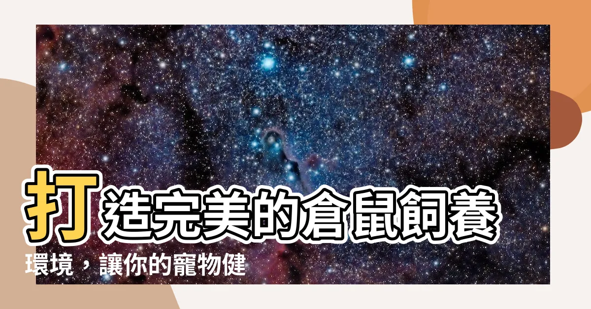 【飼養倉鼠】打造完美的倉鼠飼養環境，讓你的寵物健康快樂