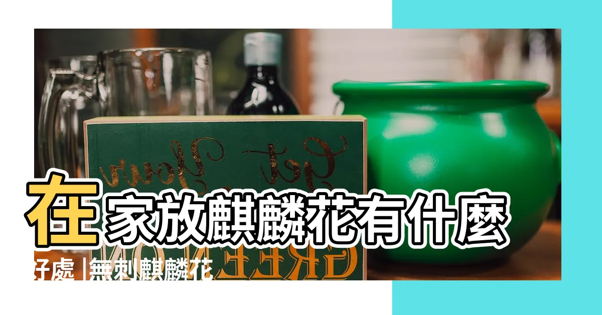 【麒麟花優點】在家放麒麟花有什麼好處 |無刺麒麟花 |麒麟花有什麼好處 |