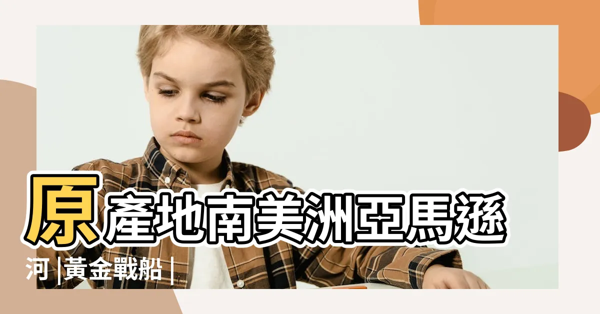 【黃金戰古代戰船】原產地南美洲亞馬遜河 |黃金戰船 |黃金戰船 |