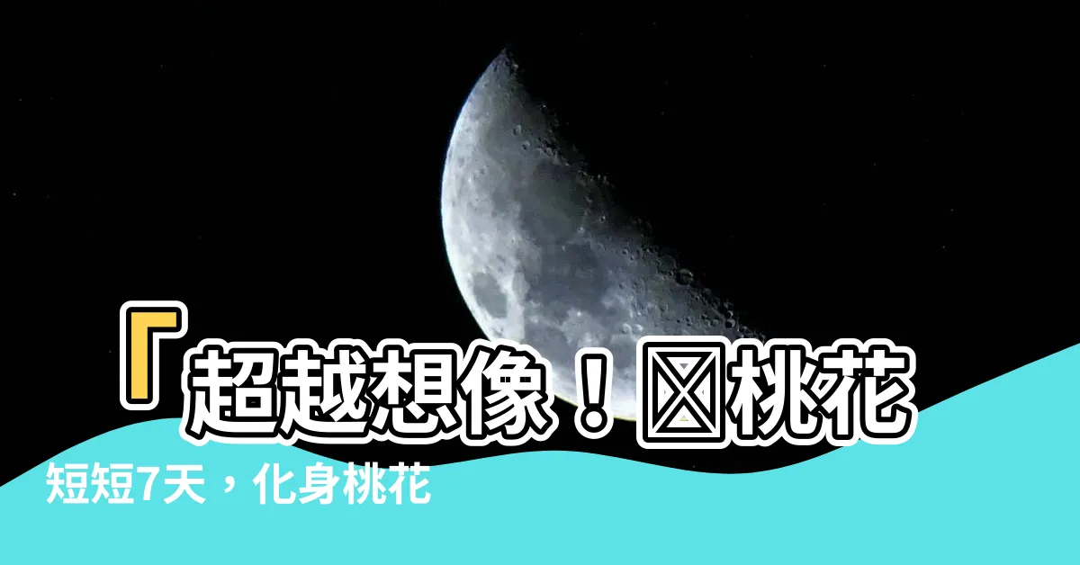 【斬桃花多久見效】「超越想像！斬桃花短短7天，化身桃花運陀螺！」