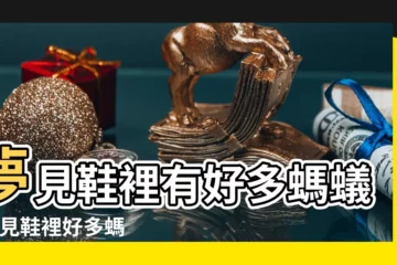 【夢見鞋上爬滿了螞蟻】夢見鞋裡有好多螞蟻 |夢見鞋裡好多螞蟻 |做夢夢見螞蟻好不好 |