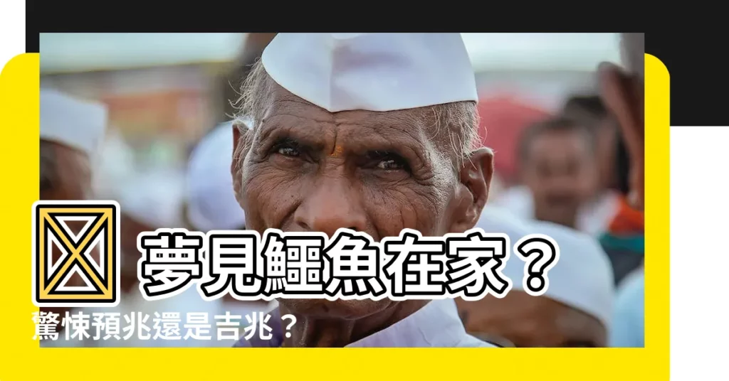 【夢見鱷魚在家】😱 夢見鱷魚在家？驚悚預兆還是吉兆？😨