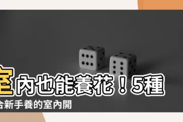 【什麼花適合放室內】室內也能養花！5種適合新手養的室內開花植物報你知