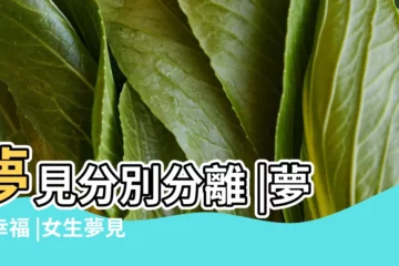 【周公解夢 總夢見自己愁嫁】夢見分別分離 |夢見幸福 |女生夢見自己懷孕了預兆著什麼 |