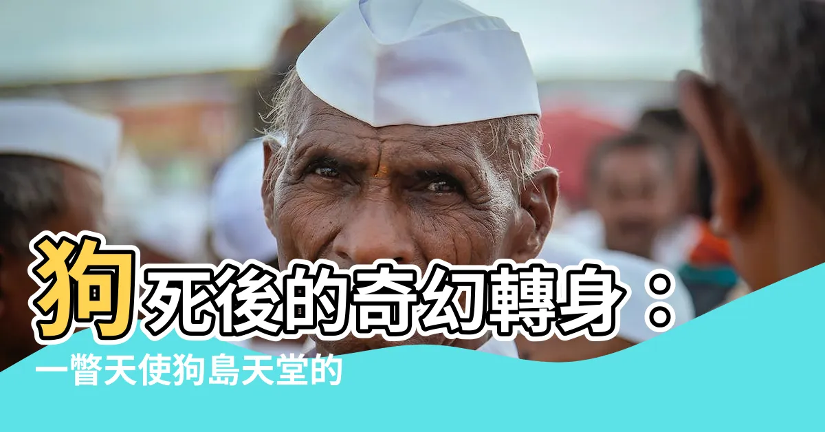 【狗死後】狗死後的奇幻轉身：一瞥天使狗島天堂的秘密
