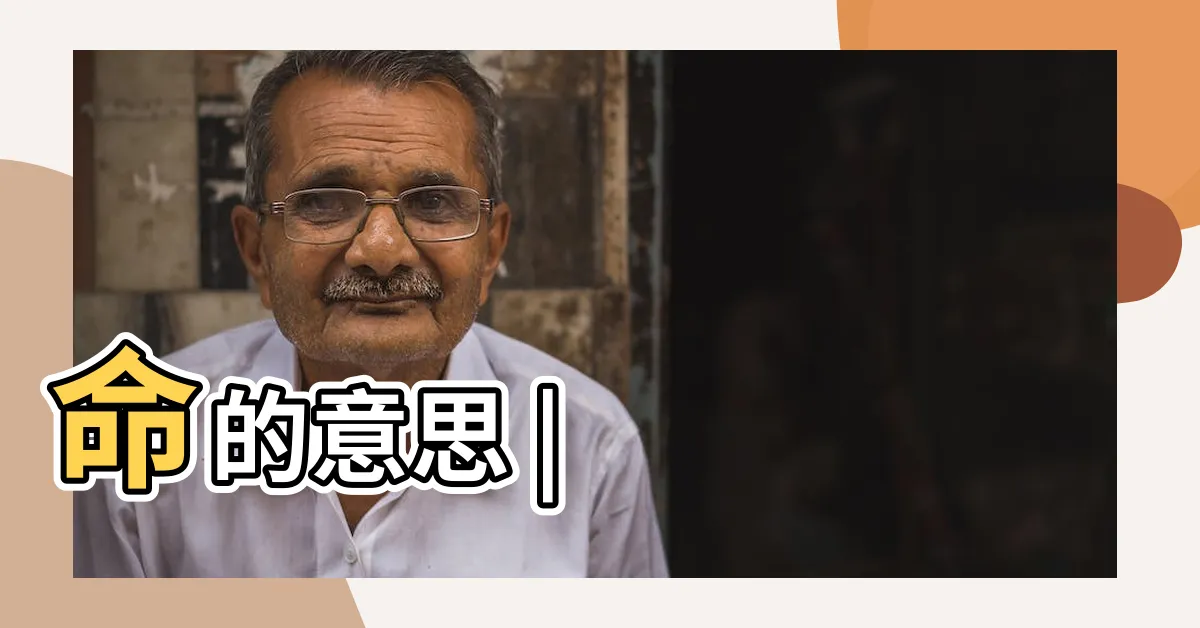 【命意思】命的意思 |
