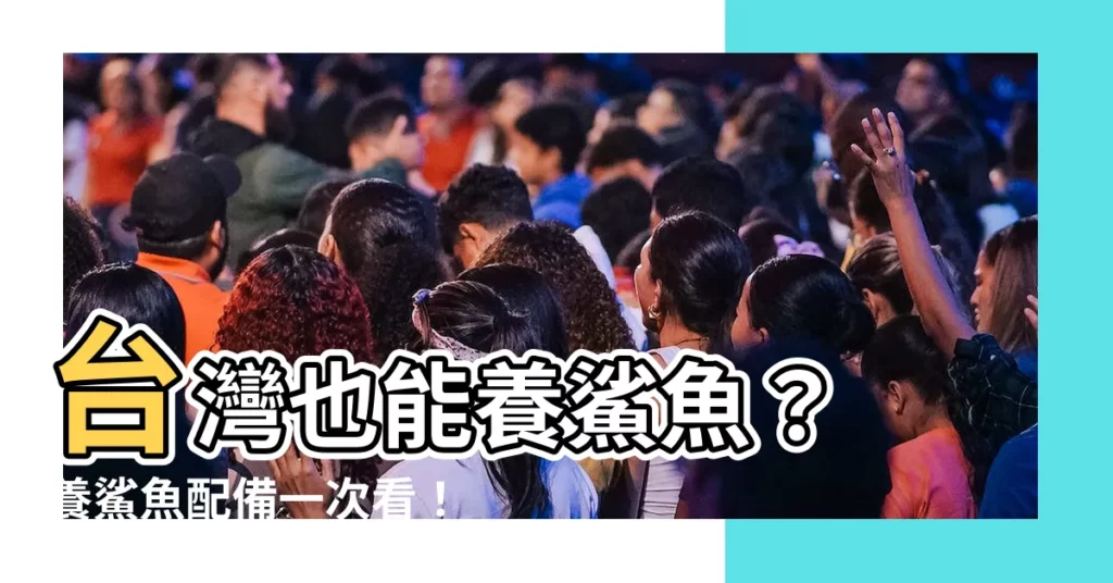 【台灣可以養鯊魚嗎】台灣也能養鯊魚？ 養鯊魚配備一次看！
