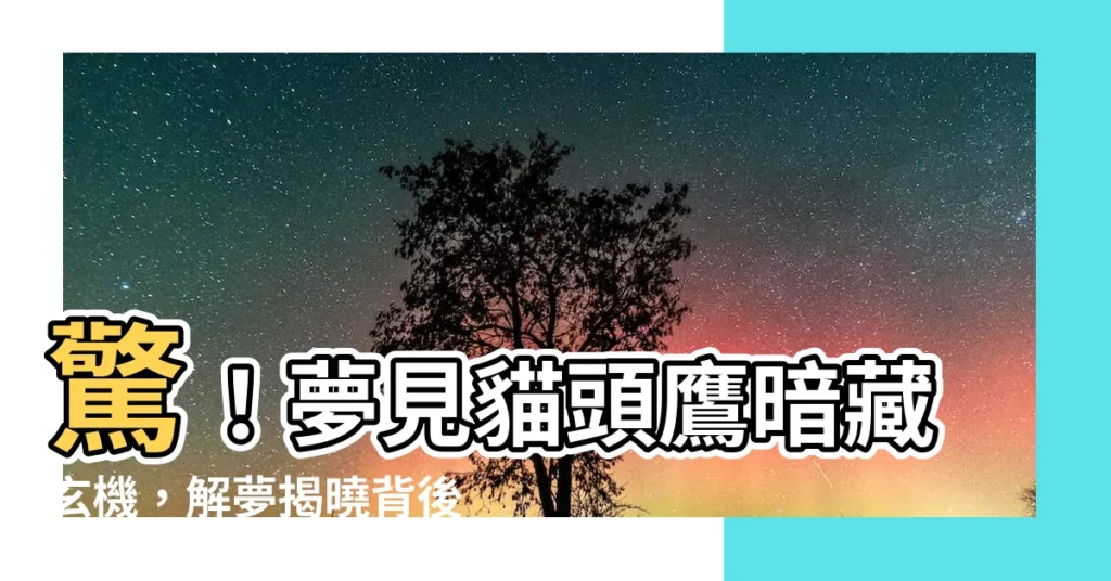 【夢見 貓頭鷹】驚！夢見貓頭鷹暗藏玄機，解夢揭曉背後寓意