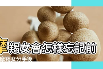 【摩羯座女想忘記一個是不是好難】摩羯女會怎樣忘記前任 |摩羯女分手後的想法 |摩羯座忘記一個人需要多長時間呢 |
