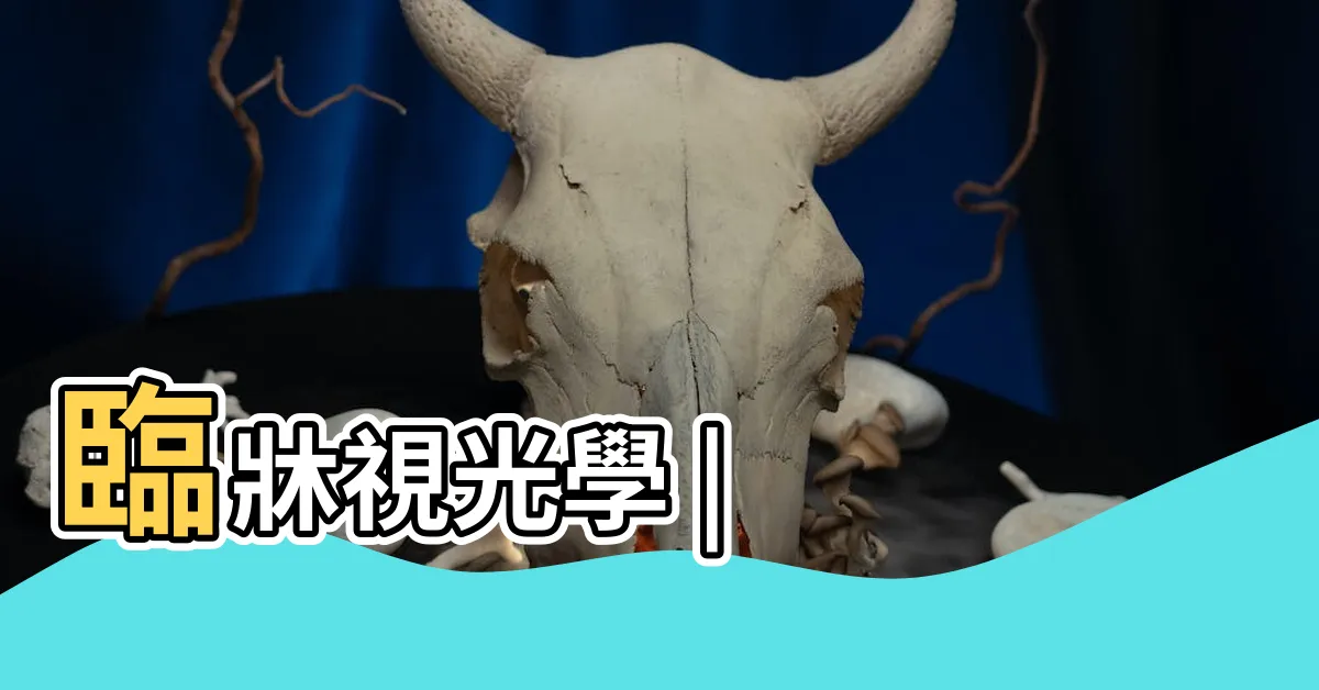 【馬篤氏鏡原理】臨牀視光學 |