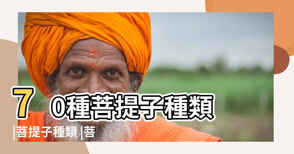 【菩提子的種類】70種菩提子種類 |菩提子種類 |菩提子的種類全解圖 |