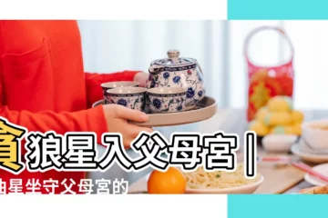 【武曲貪狼入廟在父母宮】貪狼星入父母宮 |武曲星坐守父母宮的分析 |武曲星入父母宮解説 |