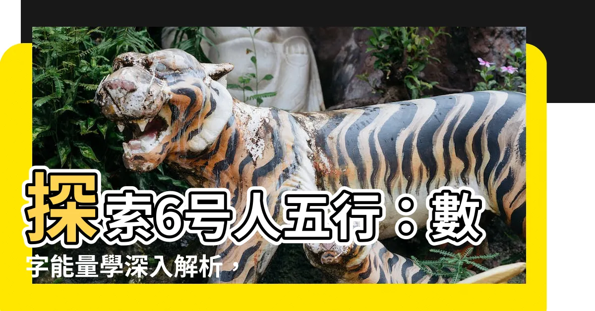 【6號人五行】探索6號人五行：數字能量學深入解析，瞭解五行相生相剋的奧秘