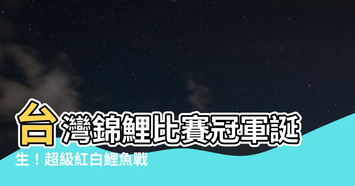【紅白鯉魚】台灣錦鯉比賽冠軍誕生！超級紅白鯉魚戰勝所有對手！