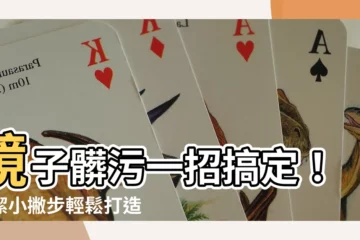 【鏡子髒污】鏡子髒污一招搞定！清潔小撇步輕鬆打造閃亮家園