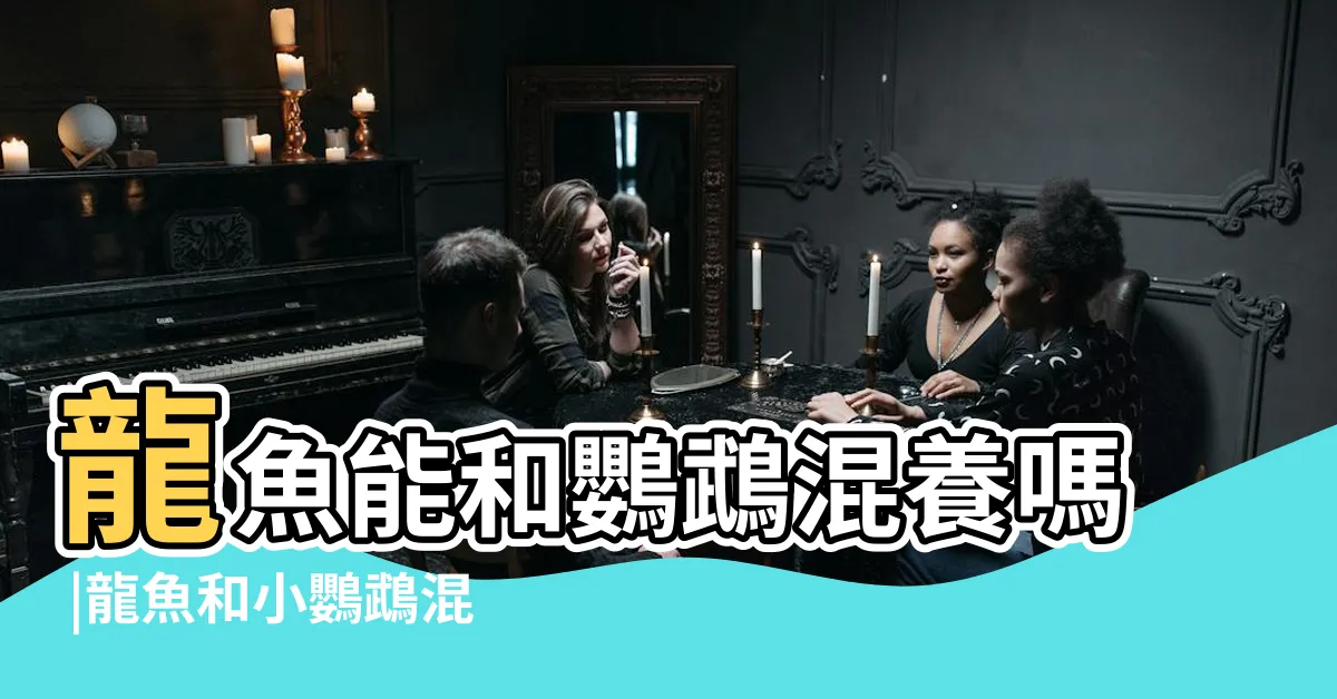 【飛鳳魚】龍魚能和鸚鵡混養嗎 |龍魚和小鸚鵡混養 |中和水族館 |