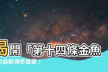 【第十四條金魚】揭開「第十四條金魚」的最新傳奇篇章！