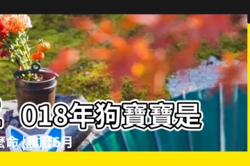 【六月出生的狗寶寶】2018年狗寶寶是什麼命 |農曆6月出生屬狗人命好嗎 |狗年農曆六月出生的狗寶寶取名 |