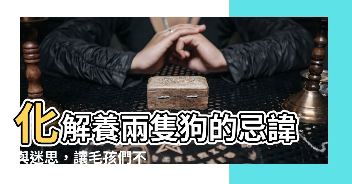 【化解養兩隻狗】化解養兩隻狗的忌諱與迷思，讓毛孩們不再孤單！