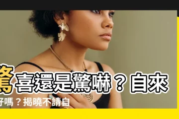【自來雀好嗎】驚喜還是驚嚇？自來雀好嗎？揭曉不請自來的鳥類吉凶預兆！