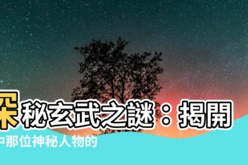 【玄武主家中哪一位人物】探秘玄武之謎：揭開家中那位神秘人物的玄機