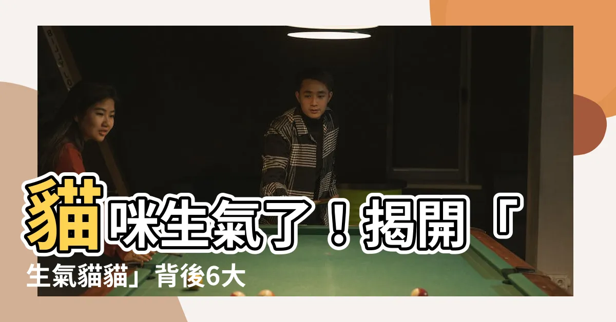 【生氣貓貓】貓咪生氣了！揭開「生氣貓貓」背後6大徵兆