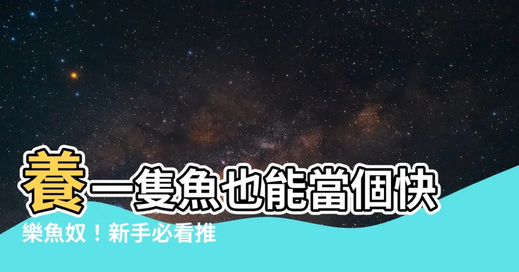 【養一隻魚】養一隻魚也能當個快樂魚奴！新手必看推薦10大好養寵物魚！