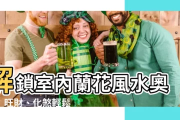 【室內蘭花風水】解鎖室內蘭花風水奧秘：旺財、化煞輕鬆GET！