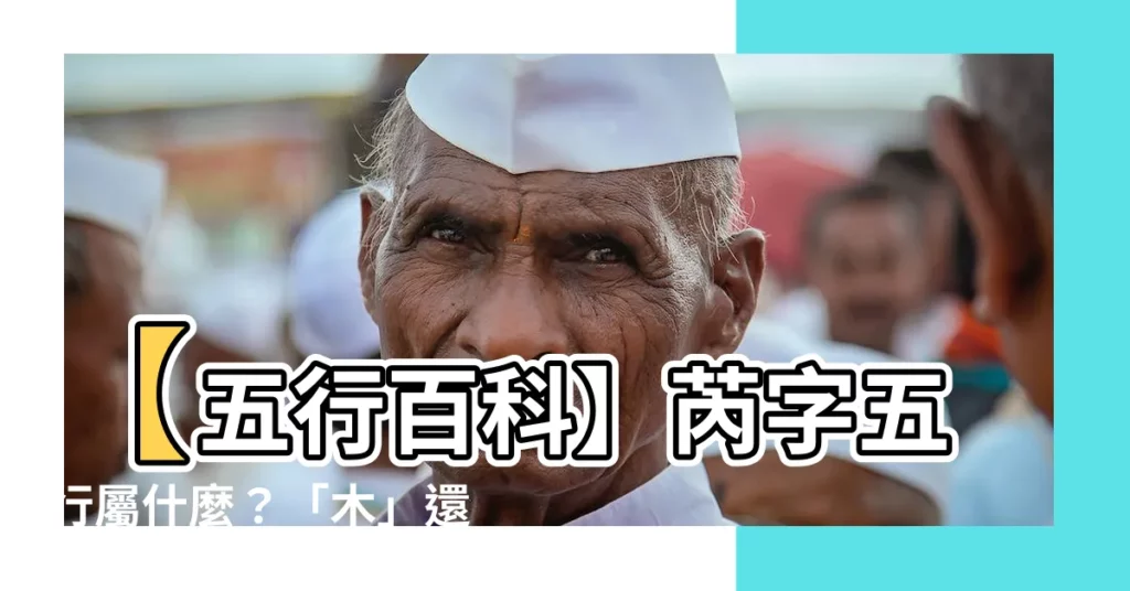 【芮字五行】【五行百科】芮字五行屬什麼？「木」還是「火」，一次搞懂！
