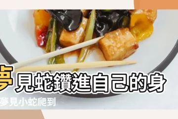 【夢到很多小蛇進身體】夢見蛇鑽進自己的身體 |夢見小蛇爬到身上 |夢見蛇鑽進身體裡 |