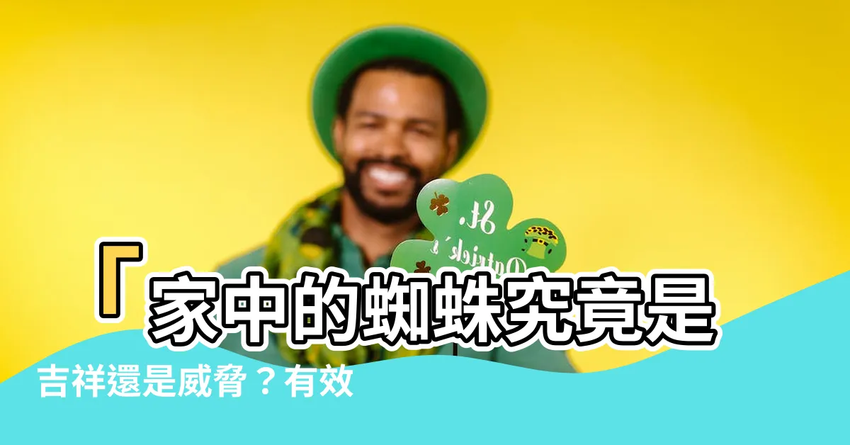 【家裡的蜘蛛】「家中的蜘蛛究竟是吉祥還是威脅？有效方法讓你與蜘蛛共居！」
