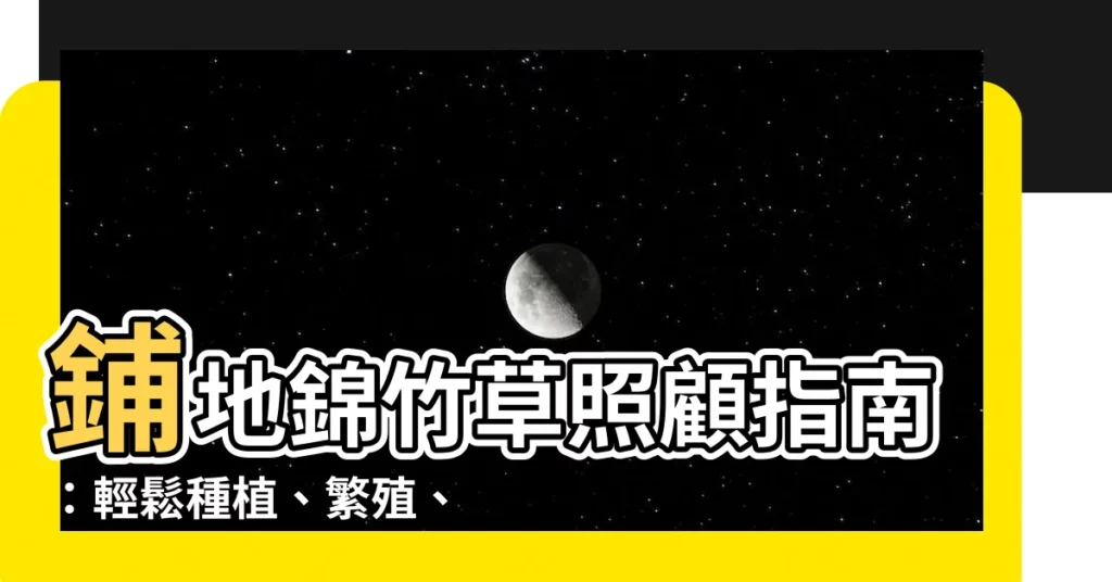 【鋪地錦竹草照顧】鋪地錦竹草照顧指南：輕鬆種植、繁殖、觀賞花期