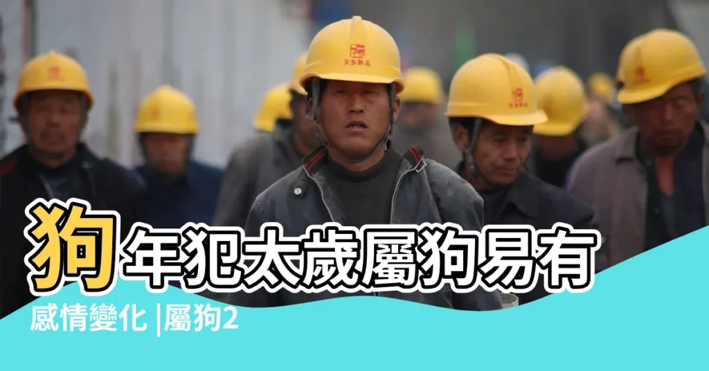 狗年犯太歲屬狗易有感情變化 |屬狗2018年運勢及運程 |大師精準預測 |【2018年屬狗生肖財運】